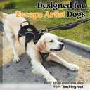 rabbitgoo Escape Proof Dog Harness, Soft Padded Full Body Pet Harness, Reflective Adjustable No Pull Vest with Lift Handle and Leash Clip for Large Dogs Walking Hiking Training, M, Black