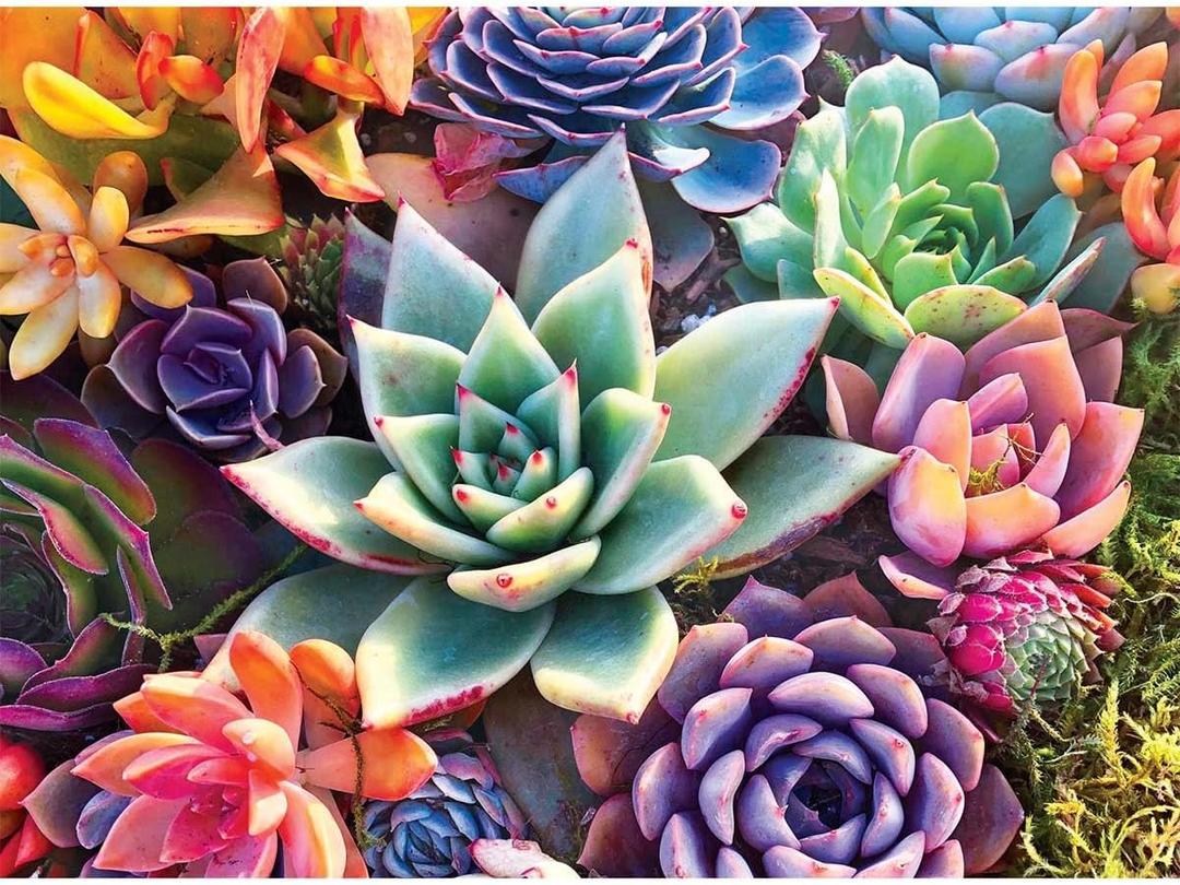 Buffalo Games - James Mertke - Simple Succulent - 1000 Piece Jigsaw Puzzle For Adults -Challenging Puzzle Perfect for Game Nights - Finished Size is 26.75 x 19.75