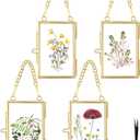 FOCHIER F 4 Pcs Pressed Flower Frame with Tweezers, Wall Hanging Tabletop Display Double Glass Frames with Metal Chain for Pressed Dried Flowers Plants, Horizontal and Vertical Picture Frame, Gold, FRAMES ONLY