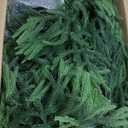 Set of 2 Artificial Norfolk Pine Tree, 4 ft Realistic Christmas Tree, Fake Potted Plants for Front Porch Outdoor Indoor Garden Christmas Decor(2 PCS, 4ft)