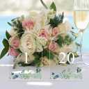 Benustra Table Numbers 1-20, 5x7 Inch Wedding Table Number for Wedding Reception 1-20, Eucalyptus Printed Clear Acrylic Table Numbers with Stands for Wedding Centerpiece Anniversary Birthday Event