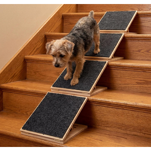Cinnvoice 4 Packs Dog Ramp for Stairs Adjustable 5.5 to 7.48 Inch Height Foldable Wooden Pet Ramp with Non-Slip Carpet Surface for Indoor Small Dogs Cats Senior Pets (11.81 Inches/ 30 cm)