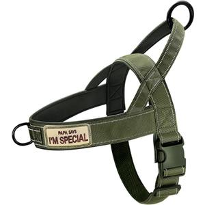 Green No Pull Dog Harness for Small Medium Large Sized Dog, Reflective Escape Proof Adjustable Dog Harnesses with 2 Patch, XL