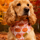 THLOH Fall Dog Bandanas - 1 Halloween Thanksgiving Dog Bandana | Reversible Pumpkin and Leaf Pet Scarf | Premium Durable Fabric | Boys & Girls | Holiday Bandana for Medium and Large Dogs (Large)