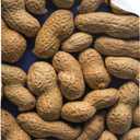 Peanut Blanket Funny Food Throw Blanket for Sofa Chairs Bed, Good Blanket Gift, Lightweight Soft and Cozy 40" x 30" for Pet