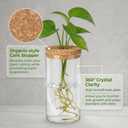 HOMSFOU Plant Propagation Stations, Glass Hydroponic Vase with Cork Lid, Terrarium Jar for Propagating Hydroponic, Plant Growing, Home & Office Decor
