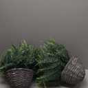 QIANYUN Outdoor Fake Hanging Fern  Artificial Hanging Ferns 2 Pack, Large Faux Boston Fern Bushes, UV Resistant Outdoor Hanging Plants for Front Porch, Patio & Indoor Decor (Green)