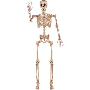 JOYIN 5.6 FT Halloween Posable Life Size Skeleton Full Body Realistic Bones with Movable Joints for Halloween Indoor and Outdoor Decoration Props Spooky Scene Party Decorations (Yellow)