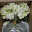 Hollyone Hydrangea Artificial Flowers with Glass Vase Green Silk Faux Flowers Arrangements in Vase with Faux Water Fake Floral Bulk Bouquet for Home Decor Table Centerpiece Decorations