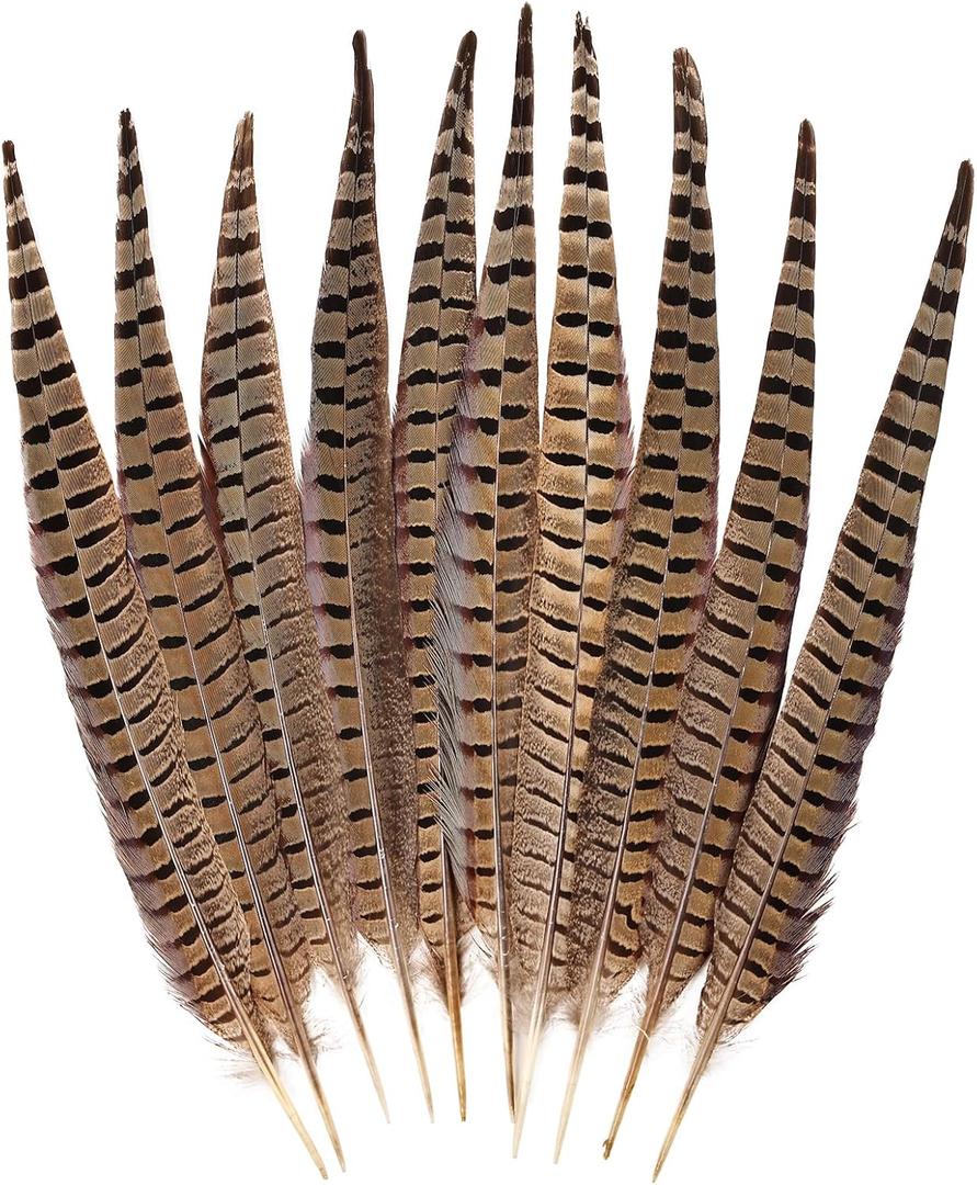 FeelfunFeather 10pcs Pheasant Feather 16-18inch 40-45cm Natural Male Ringneck Tails Feathers for DIY Crafts Home Wedding Party Carnival Decoration