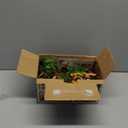 31 Pcs Safari Animals Figures Including 24 Realistic Jungle Playset Toys Zoo Animals for Toddlers 3+ Years Old Ideal Gift for Boys and Girls