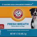 Arm & Hammer for Pets Dental Mints for Dogs, Fresh Breath | Get Fresh Doggie Breath Without Brushing, Way to Fresher Dog Breath | Chicken Flavor, 40 Count (Packaging may vary) (1.7 Ounce (Pack of 1))