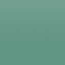 Teacher Created Resources Eucalyptus Green Better Than Paper Bulletin Board Roll (TCR77464) 4ftx12ft