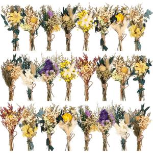 Layhit 24 Pcs Boho Dried Flower Bouquet Mini Wedding Handmade Dry Flowers Decor for Vase Crafts DIY Photo Boutonniere for Men Floral Plant for Bridesmaid Gift Birthday Decor (Vivid)