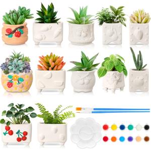Hushee 12 Sets Ceramic Succulent Planters Paintable Succulent Plant Pots Small DIY Figurines Unpainted Pots with Drainage Hole Color Paints Paintbrushes Palettes (Fruit)
