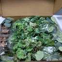 Ling's moment 17.5" Tall Free-Standing Artificial Flowers Arrangements 4 pcs Wedding Aisle Runner Chair Decorations White & Green Centerpieces for Ceremony Reception Rose Floral Party Outdoor