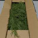 Alpurple 60 Pcs Artificial Pine Branches- 13.7 Inches Fake Greenery Pine Sprigs- Plastic Faux Pine Picks for Christmas DIY Garland Wreath Floral Home Garden Decoration