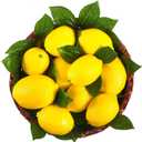 24 Pcs Yellow Fake Lemons 24 Pcs Faux Lemon Leaves Artificial Fruits Lifelike Simulation Fake Lemon Decor for Home Kitchen Table Cabinet Holiday Party Photography Props