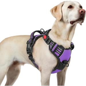 rabbitgoo Dog Harness for Large, No Pull Pet Harness with 3 Buckles, Adjustable Soft Padded Vest with Control Handle, Walking Reflective Pet Vest for Dogs, Purple, Large