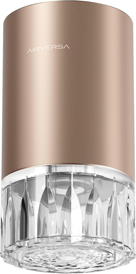 Airversa Waterless Essential Oil Diffuser for Home Room Desk Car Air Freshener Diffuser, Up to 600 sq ft, Battery Operated, Mist Level and Timer Settings, 100mL Capacity, Cold Air, RD1 Titainium