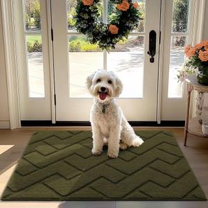 hicorfe Front Door Mat Outside Entrance,32"x40" Absorbent Muddy Dirt Resist Welcome Door Mats Outdoor Indoor,Stain and Fade Resistant,Non Slip Backing Entry Mat Doormat for Entryway (Oliver Green)