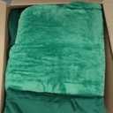 BEDELITE Flannel Sheets Queen Size Dark Green - Super Soft Fleece Sheets Set Fluffy Extra Plush, 4 Piece(Include Fitted Sheet, Flat Sheet, 2 Pillowcases)