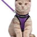rabbitgoo Cat Harness and Leash Set for Walking Escape Proof, Adjustable Soft Kittens Vest with Reflective Strip for Cats, Comfortable Outdoor Vest, Purple, L