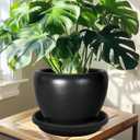 NIMYAU 5 Pack Plant Saucer 10 Inch, Plastic Plant Saucers for Indoors, Drip Trays for Potted Plants, Flower Pot Saucers, Plant Trays for Pots, Plant Water Catcher Tray