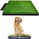 Downtown Pet Supply Dog Grass Pad with Tray, 20 x 30 w/Drawer - Outdoor and Indoor Potty System for Dogs with Replaceable Synthetic Grass Pee Turf - Portable and Waterproof Turf Dog Potty