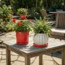 2 x Eightpot 2 Pack Plant Plates to Catch Water, Plant Trays for Pots Indoor Outdoors, 7.5 Inch Plants Water Catcher Tray, Round Flower Pot Saucers, Modern Decorative Dishes to Catch Water, Red
