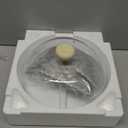 Glass Microwave Splatter Cover for Food, 10 Inch, One-Piece Integrated Handle Dome Design, Heavy-Duty Food Guard with Heat-Resistant Silicone Anti-Scald Cap, BPA-Free, Dishwasher Safe