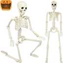 CAMIRUS 3FT Skeleton, 36" Full Body Skeleton with Movable Posable Joints, Realistic Plastic Bones Halloween Prop for Outdoor Haunted House Decorations