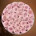 Prifroti 27 Flowers in a Luxury Suede Box, Birthday Gifts for Women, Preserved Flowers, Mothers Day Roses Gift for Mom, Dusty Rose