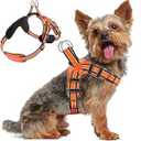 Dog Harness for Small Dogs Back DRing Control No Choking PressureFree Chest Design Comfortable Padded Adjustable Reflective Vest Harness for Daily Walks Training Easy Control Outdoor Use Secure Fit