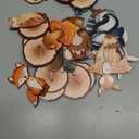 Uflashmi 12Pcs Woodland Animal Tabletop Centerpieces Decor, Forest Wild Animal Cutout Shapes for Woodland Baby Shower Party Decorations, Wood