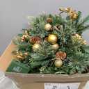 2 Pack Prelit Outdoor Christmas Tree 30 Inch, Remote Control Battery Operated with 100 Warm White Multi-Color Changing LED Lights, Small Pre-Decorated Green Xmas Tree for Pathway, Porch (Gold)