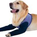 Coodeo Dog Recovery Sleeves, Cone Collar Alternative, Abrasion Resistant Dog Recovery Suit, Washable 2.5mm Thick and Waterproof, Pet Wounds Prevent Licking, Biting (Purple, L)