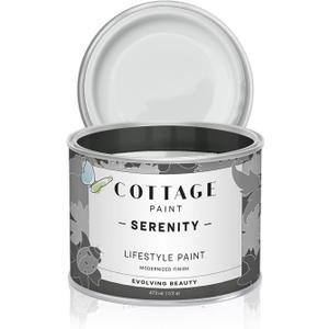 Serenity Silk All-in-One Mineral Chalk Paint for Furniture, Home Decor, Cabinets and DIY Crafts - Built-in Topcoat - (16oz, Marshmallow)