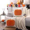 LUOYEHK Halloween Throw Pillow Covers 18x18 Set of 2 Orange Pumpkin Embroidered Pillow Cases Holiday Thanksgiving Velvet Cushion Covers for Couch Sofa Bed