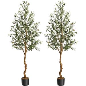 GAOMON Artificial Olive Tree 6FT(72in) Tall Faux Olive Trees with Silk Leaves for Home Office Living Room Decor Indoor Fake Olive Tree with Curved Wood Trunk and Lifelike Fruits Set of 2