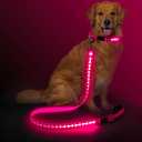 Flashseen Light Up Dog Leash, 4FT LED Dog Leash with Double-Sided Light, Type-C Rechargeable Glow in The Dark Lights for Night Walking with Padded Handle (Pink)