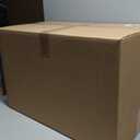 Robin II EPS Foam Ice Chest (Outside Dimensions: 24.5x14.5x15.75) with Shipping Box - 1 Pack. Protective, Thermal, Insulated, Biodegradable, Recyclable, Shipping/Storage, White, 208-001/002