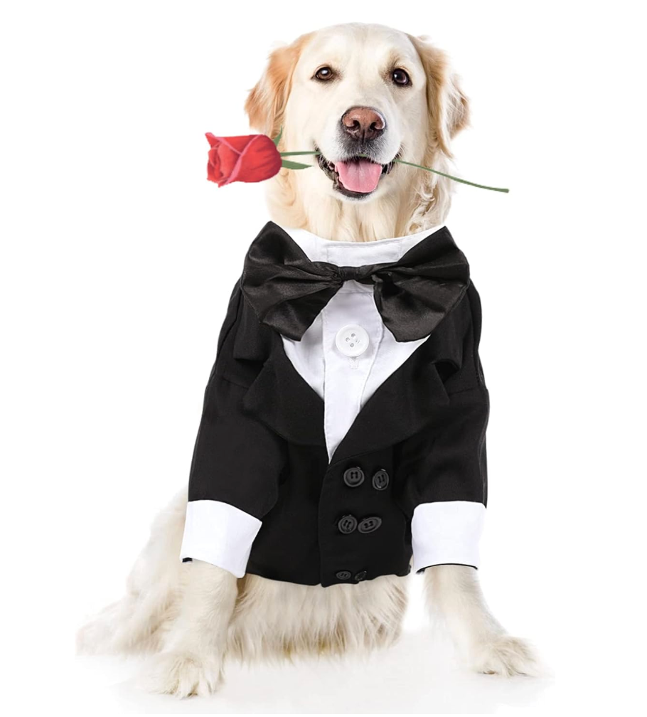 Large Dog Tuxedo Dog Suit, Dog Gentleman Costume Party Suit with Bow Tie Shirt for Halloween Christmas, Formal Pet Wedding Attire, XL