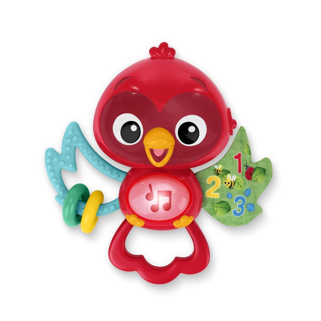 Baby Einstein Roxys Bright Flight Musical Baby Toy & Teether, Plays Real Bird Sounds with 10+ Melodies, Multisensory, Ages 3 Months and Up