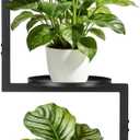 Wall Plant Holder Metal, Plant Frames Wall Decor, Wall Plant Stands for Indoor&Outdoor with Letters HOME Decor, 2 Round Flower Pot Trays, 12*7.87*34.33 Inch, Black