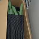 VeriNatural 6FT Artificial Dracaena Tree - UV Resistant Faux Tropical Plant, Potted Fake Tree with Taper Planter & Pebbles - Indoor Outdoor Greenery for Home, Porch, Living Room, Bedroom Decor, VN127 (Black)