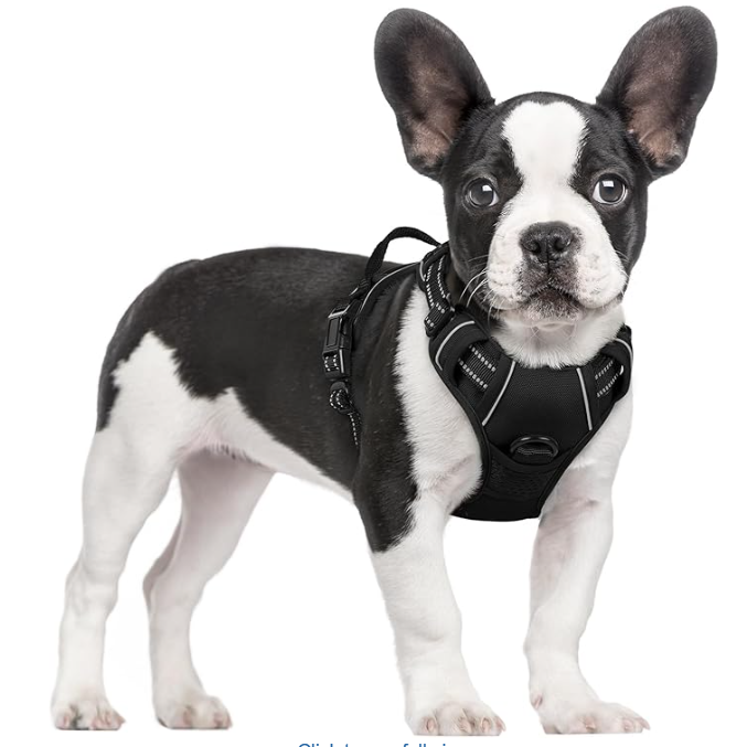 rabbitgoo Dog Harness No Pull with 2 Leash Clips, Adjustable Soft Padded, Reflective Oxford No Choke Pet Vest with Easy Control Handle for Medium Sized Dogs, Black, M