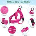 SlowTon No Pull Small Dog Harness and Leash Set, Puppy Soft Vest Harness Neck & Chest Adjustable, Reflective Lightweight Harness & Anti-Twist Pet Lead Combo for Small Medium Dogs (Fuchsia, XXS)