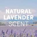 Clean Revolution Foaming Hand Soap Refill with Real Essential Oils, Moisturizing Sulfate-Free Hand Soap, Ready-to-Use Foam Soap Refill for Kitchen & Bathroom (Natural Lavender) 128 Fl Oz, 2 Pack