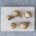 Creative Co-Op Resin Figs with Gold Finish (Set of 5 Pieces)